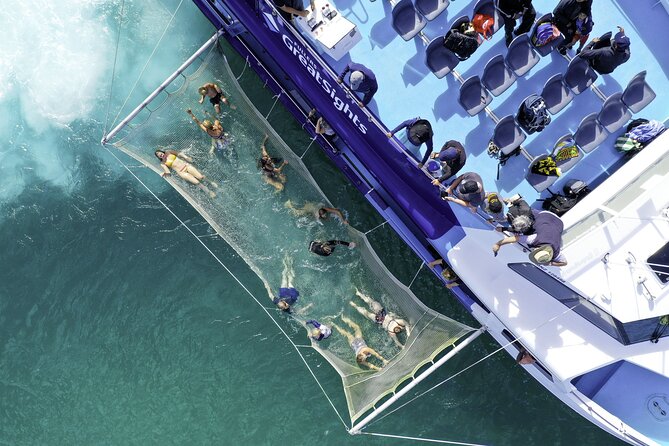 The Original Full day Bay of Islands Cruise with Dolphins - The crew and the feel on board