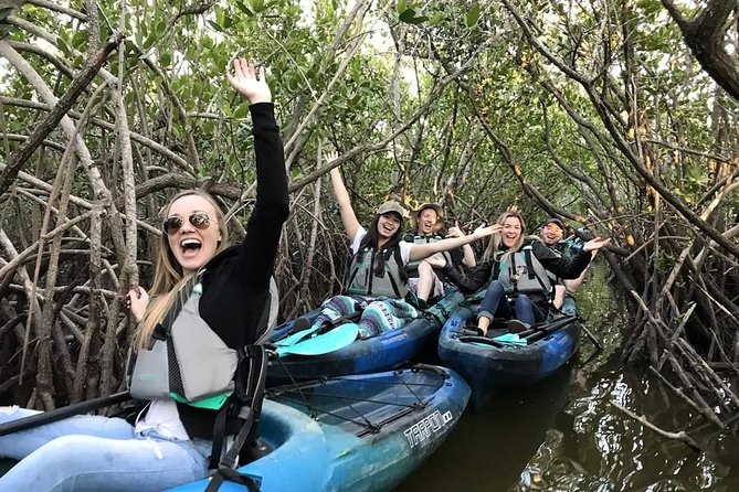 Thousand Island Mangrove Tunnel, Manatee & Dolphin Kayak Tour w/Cocoa Kayaking - Key points to know before you book