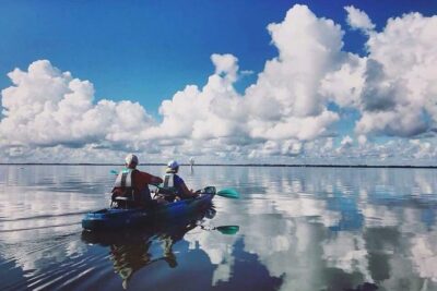 Thousand Island Mangrove Tunnel, Manatee & Dolphin Kayak Tour w/Cocoa Kayaking