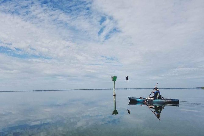 Thousand Island Mangrove Tunnel, Manatee & Dolphin Kayak Tour w/Cocoa Kayaking - Why the guides matter more than the equipment