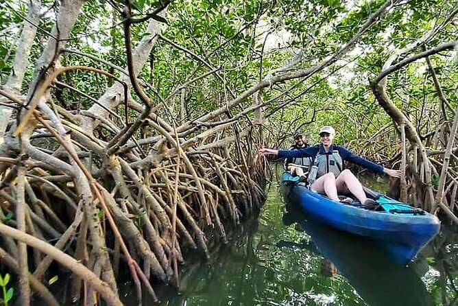 Thousand Island Mangrove Tunnel, Manatee & Dolphin Kayak Tour w/Cocoa Kayaking - Timing, weather, and what to bring