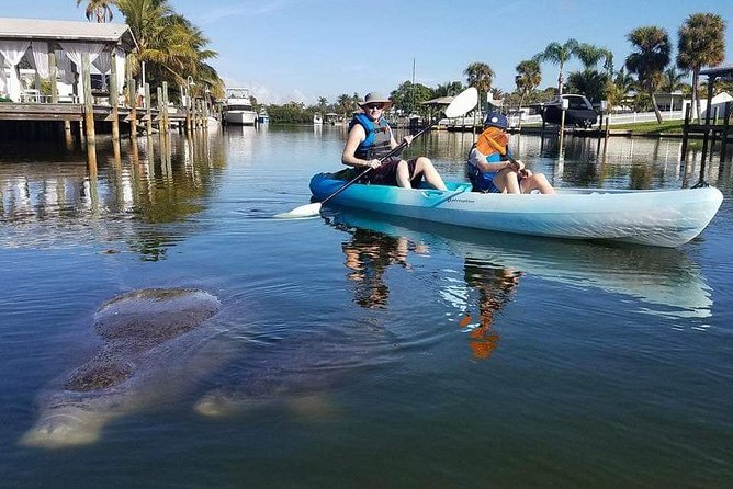 Thousand Island Mangrove Tunnel, Manatee & Dolphin Kayak Tour w/Cocoa Kayaking - Is $69.08 a fair price?