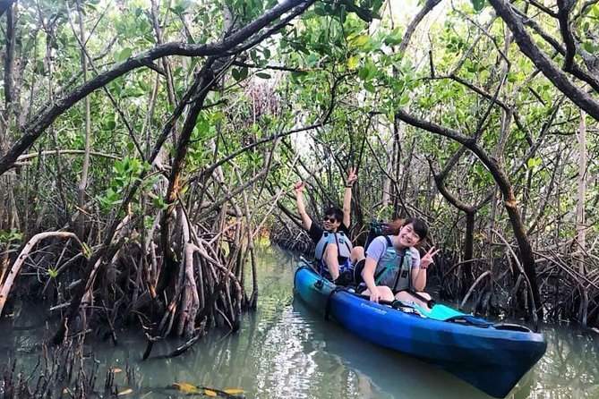 Thousand Island Mangrove Tunnel, Manatee & Dolphin Kayak Tour w/Cocoa Kayaking - Who will enjoy this Cocoa Beach kayak trip