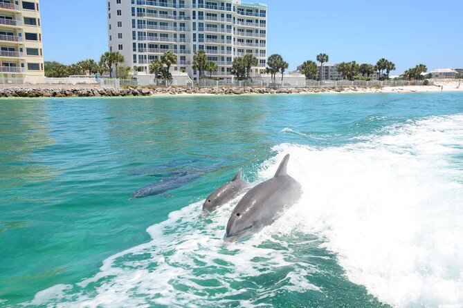 Thriller Speedboat Dolphin Tours in Destin Florida - East Pass and the search for dolphins