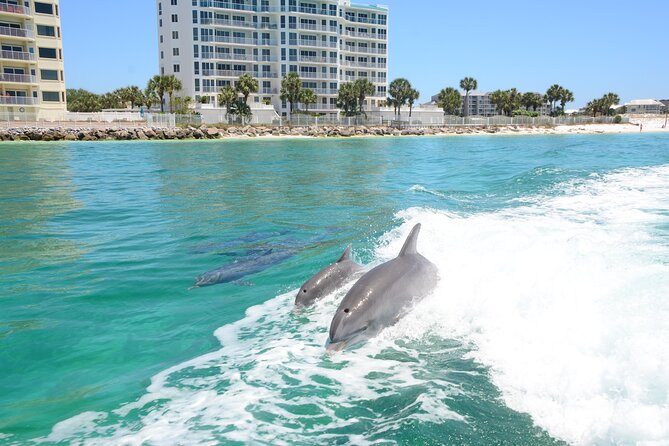Thriller Sunset Dolphin Cruise in Destin Harbor - Weather, cancellations, and simple planning