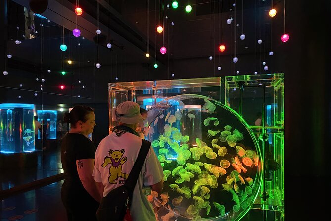 Tokyo Night E-Bike Tour with Tokyo Tower and Dolphin Show - Maxell Aqua Park Shinagawa and the dolphin show
