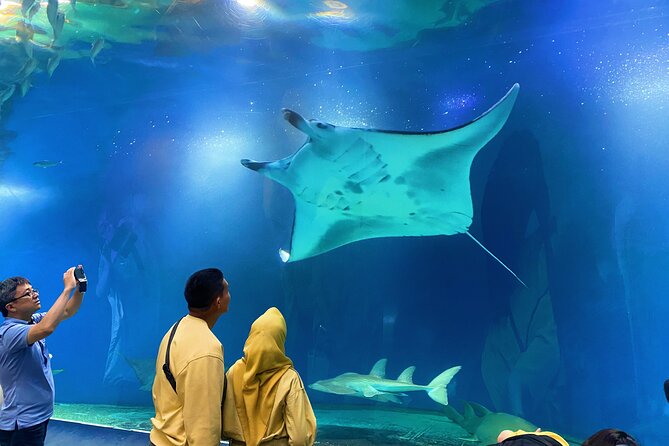 Tokyo Night E-Bike Tour with Tokyo Tower and Dolphin Show - A quick snack in Azabujuban