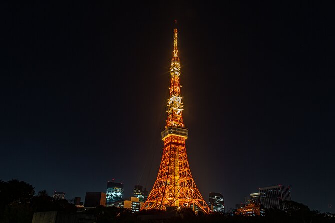 Tokyo Night E-Bike Tour with Tokyo Tower and Dolphin Show - Is the $104.51 price fair?