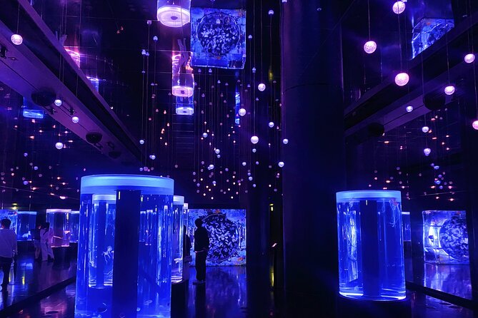 Tokyo Night E-Bike Tour with Tokyo Tower and Dolphin Show - Who will enjoy this most?