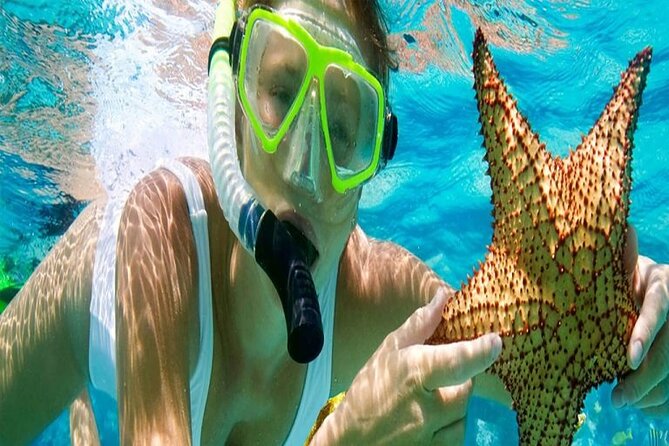 Tour and Swimming at the Dolphin House in Hurghada - What this Hurghada dolphin trip is really about