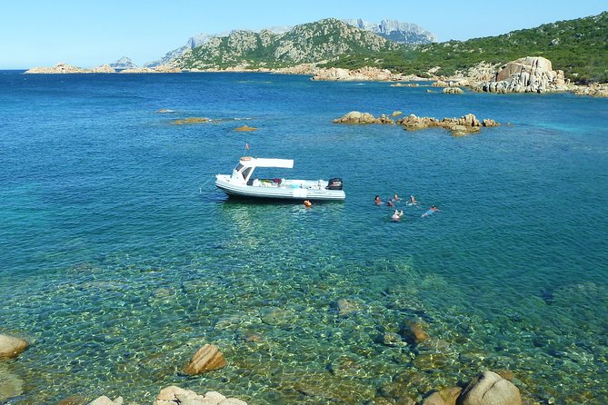 Tour to Figarolo Island with the possibility to observe dolphins - Cala Moresca, Capo Ceraso, and the second swim