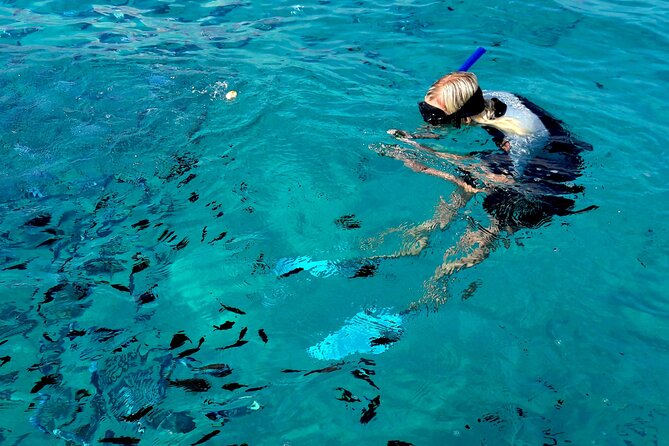 Tour to Figarolo Island with the possibility to observe dolphins - Who will enjoy this Olbia boat trip?