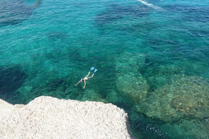 Tour to Figarolo Island with the possibility to observe dolphins - Capo Figari and the Gulf’s limestone cliffs