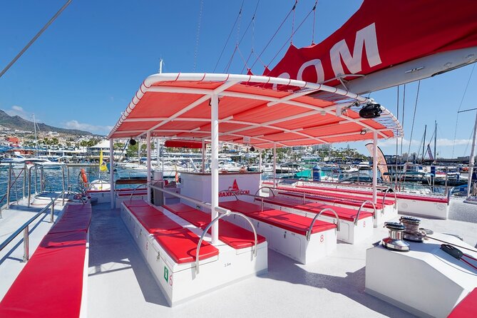 Tour with Whale and Dolphin Watching plus food included - What the MAXICAT cruise is really about