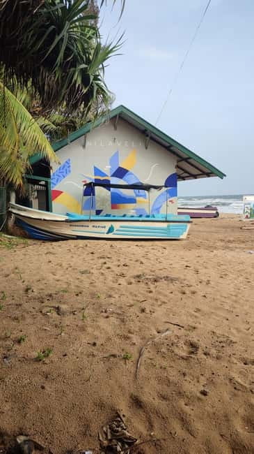 Trincomalee: Dolphin & Whale Watching Boat Tour - Key points at a glance