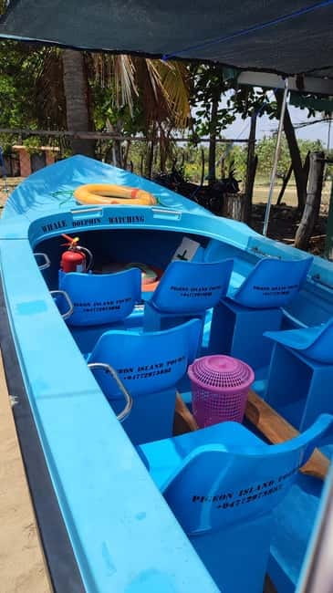 Trincomalee: Dolphin & Whale Watching Boat Tour - The search for spinner dolphins