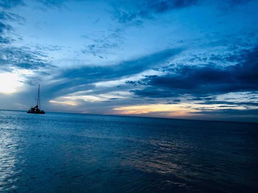 Trincomalee : Whale & dolphin watching +pigeon island tour - Who should book this experience?