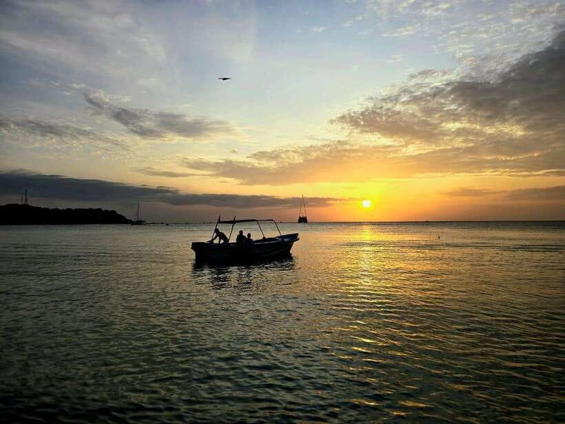 Trincomalee : Whale & dolphin watching +pigeon island tour - Hotel pickup and the first boat