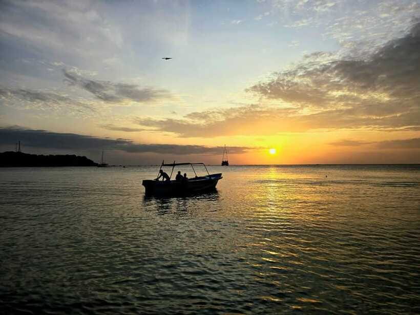 Trincomalee : Whale & dolphin watching +pigeon island tour - How the small-group setup changes the day