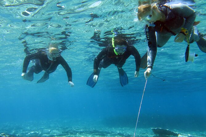 Try Snorkeling in the Sea with the Blue Dolphin Team - The 4:00 pm start in Schisma Eloundas