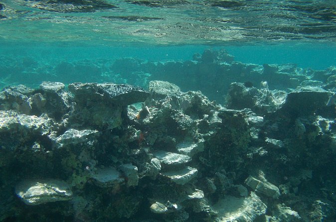 Try Snorkeling in the Sea with the Blue Dolphin Team - What makes the small group valuable