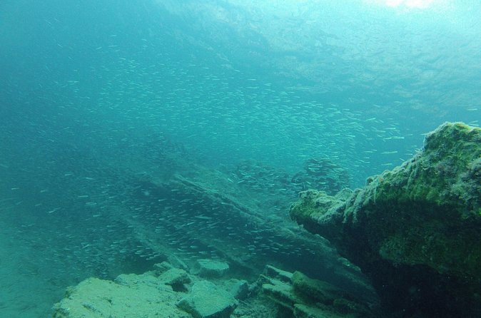Try Snorkeling in the Sea with the Blue Dolphin Team - The extra boat option after the lesson