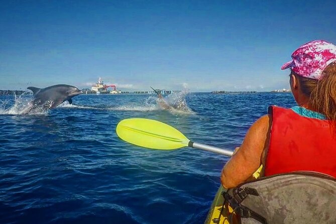 Turtle and Dolphin Watching Kayaking and Snorkeling Tour - Paddling toward Turtle Bay