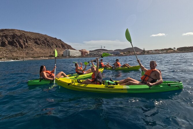 Turtle and Dolphin Watching Kayaking and Snorkeling Tour - What the private format changes