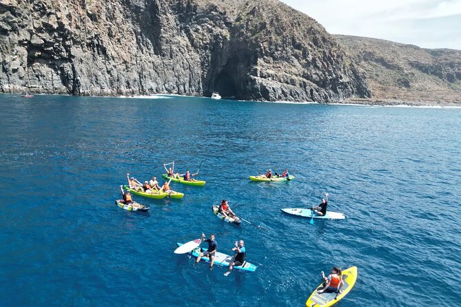 Turtle and Dolphin Watching Kayaking and Snorkeling Tour - Does $42.14 offer good value?