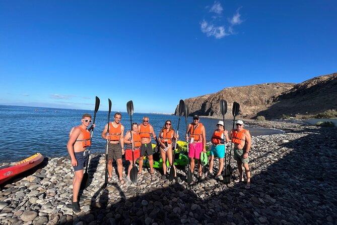 Turtle and Dolphin Watching Kayaking and Snorkeling Tour - Who will enjoy this Tenerife outing