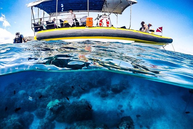 Ultimate 4 Hour Lanai Snorkel and Dolphin Encounter - What the small boat really means