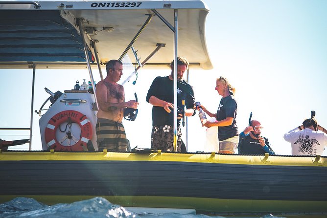 Ultimate 4 Hour Lanai Snorkel and Dolphin Encounter - Equipment, snacks, and the $175 value