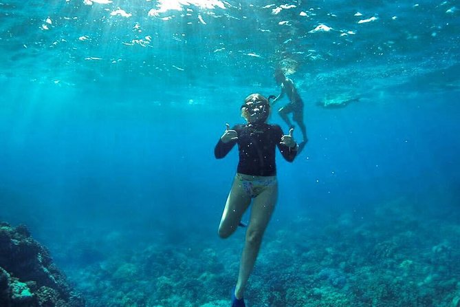 Ultimate 4 Hour Lanai Snorkel and Dolphin Encounter - Safety and comfort on the water