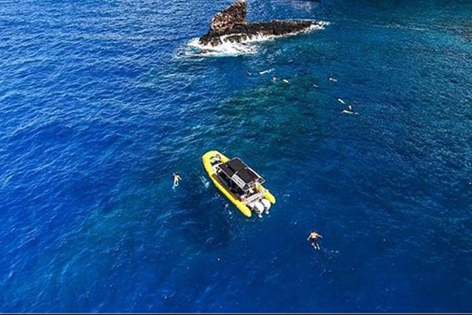 Ultimate 4 Hour Lanai Snorkel and Dolphin Encounter - Who will enjoy this Lanai outing most