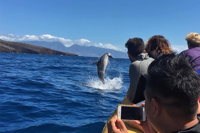 Ultimate 4 Hour Lanai Snorkel and Dolphin Encounter - Snorkel stop two: turtles, fish, and possible reef sharks