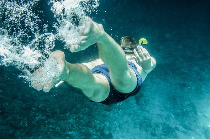 Ultimate Key West Day: Dolphin & Snorkel Combo with Sunset Sail - Timing, comfort, and what to pack