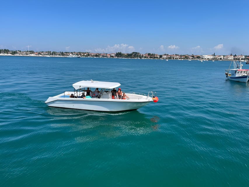Umag: Dolphinwatching & sunset panorama tour - Key points to know before booking