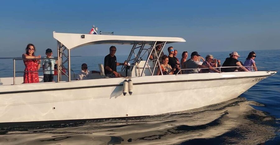 Umag: Dolphinwatching & sunset panorama tour - Leaving Fontana for the open Adriatic