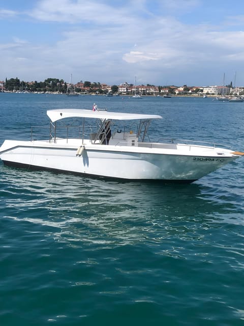 Umag: Dolphinwatching & sunset panorama tour - Comfort, rules, and who should skip it