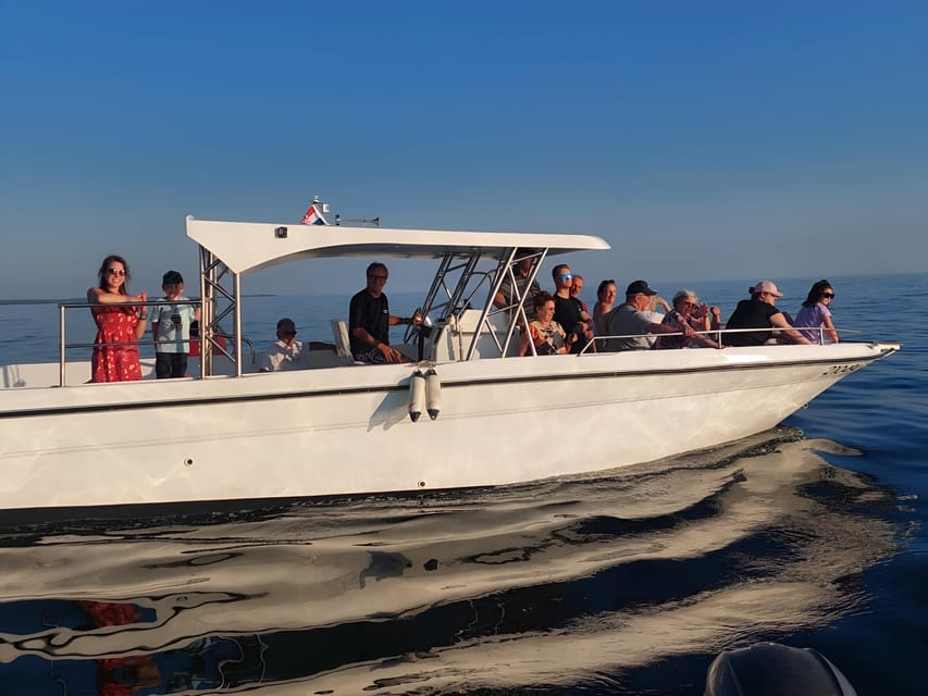 Umag: Snorkeling&dolphinwatching morning tour adventure - What $47 gets you