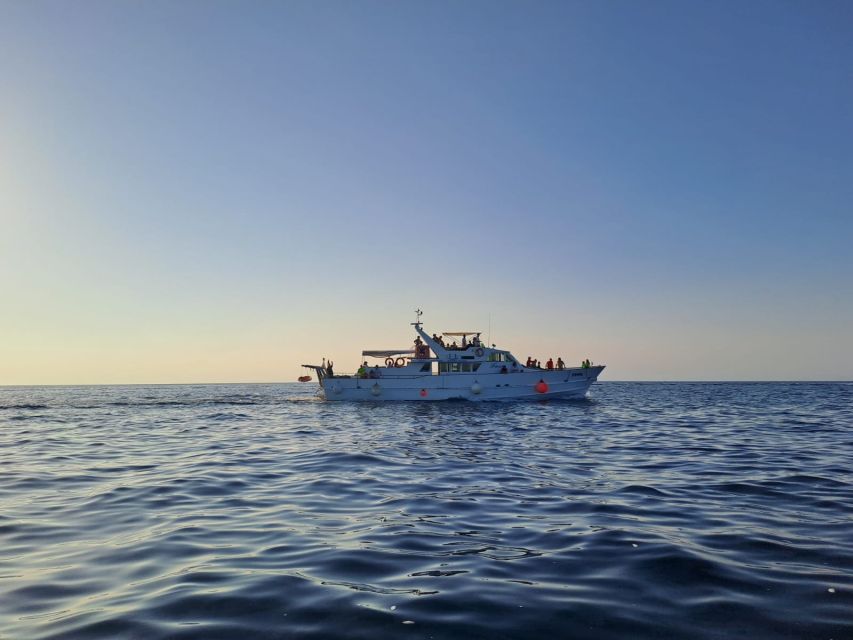 Umag: Sunset Cruise with Dolphin Spotting - Why this two-hour Umag cruise is worth considering