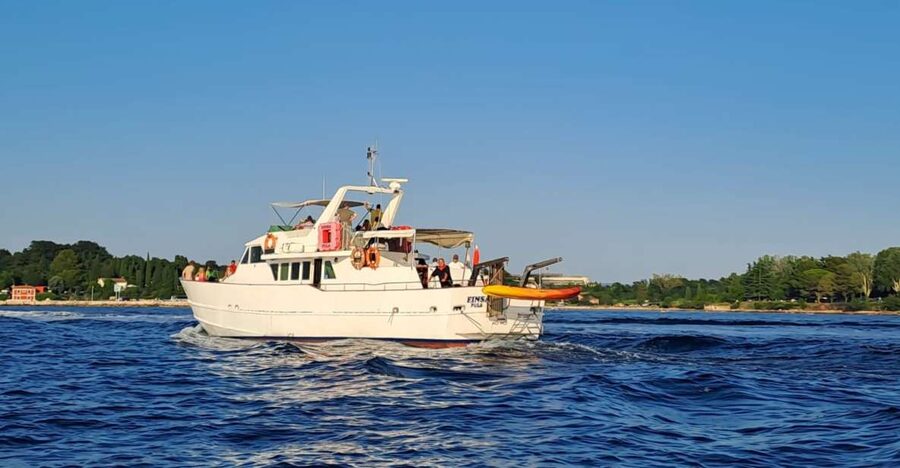 Umag: Sunset Cruise with Dolphin Spotting - Searching for dolphins in their natural habitat