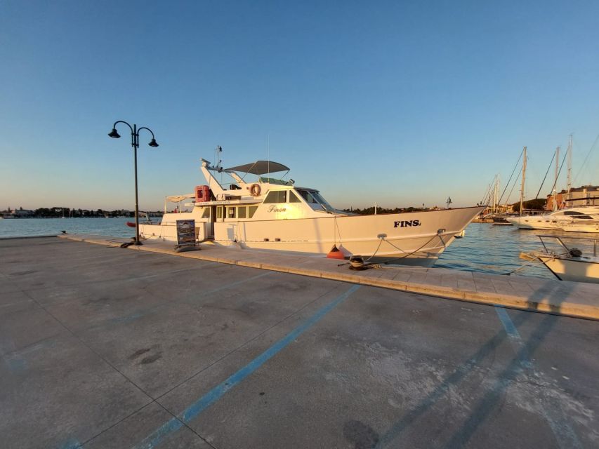Umag: Sunset Cruise with Dolphin Spotting - Practical advice for a better cruise