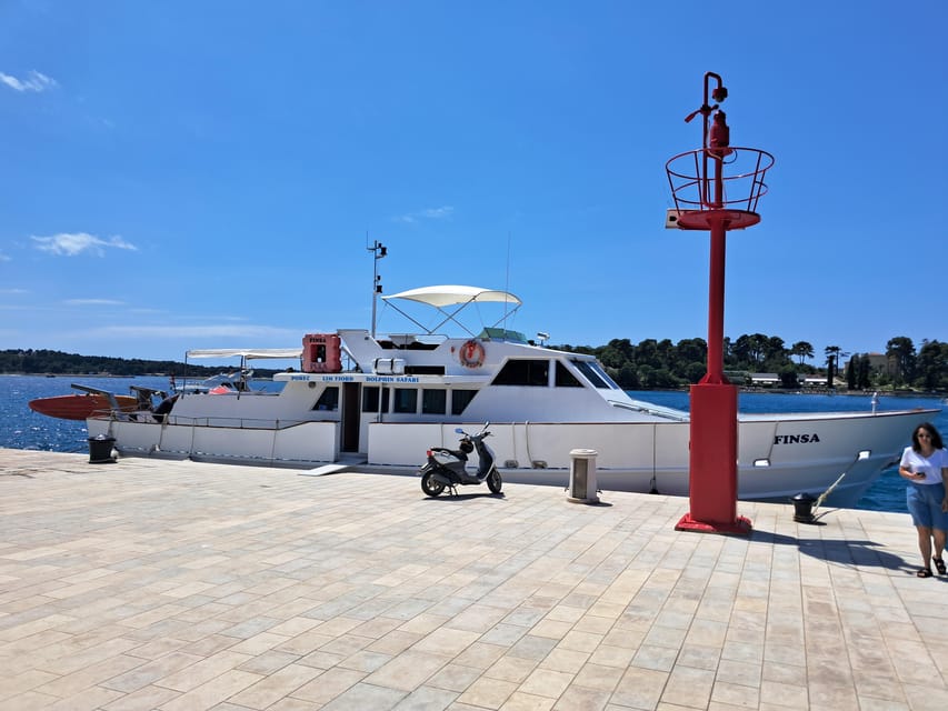 UMAG: Swimming&Panorama / Welcome Drink and Dolphin spotting - Should you book the Umag dolphin cruise?