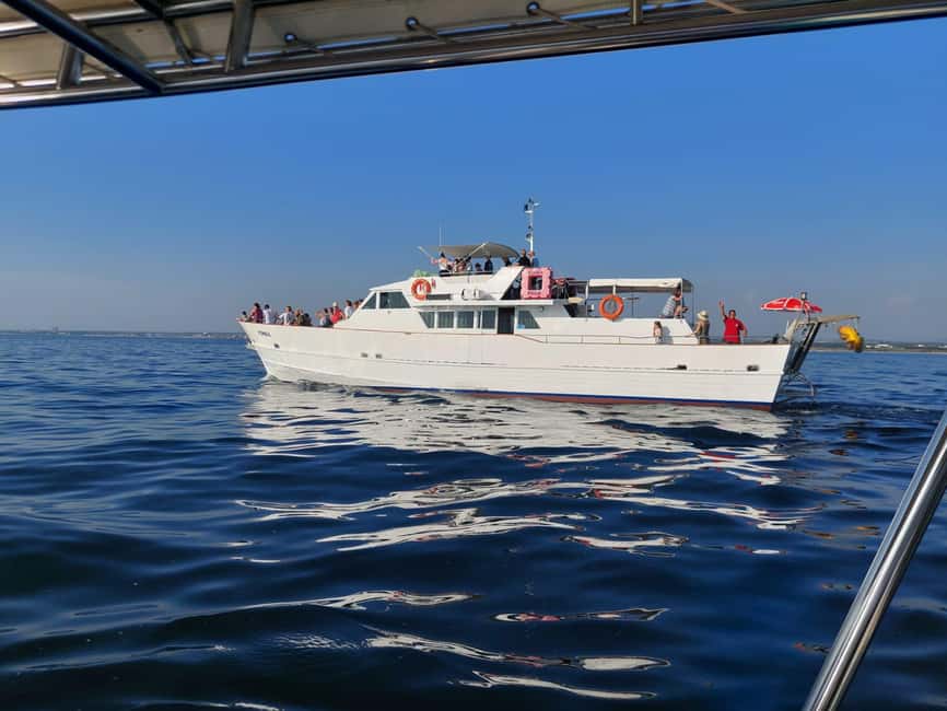 UMAG: Swimming&Panorama / Welcome Drink and Dolphin spotting - Leaving Umag at 10:00