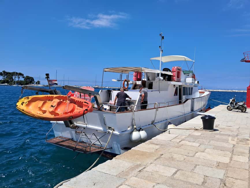 UMAG: Swimming&Panorama / Welcome Drink and Dolphin spotting - Searching for dolphins in open water