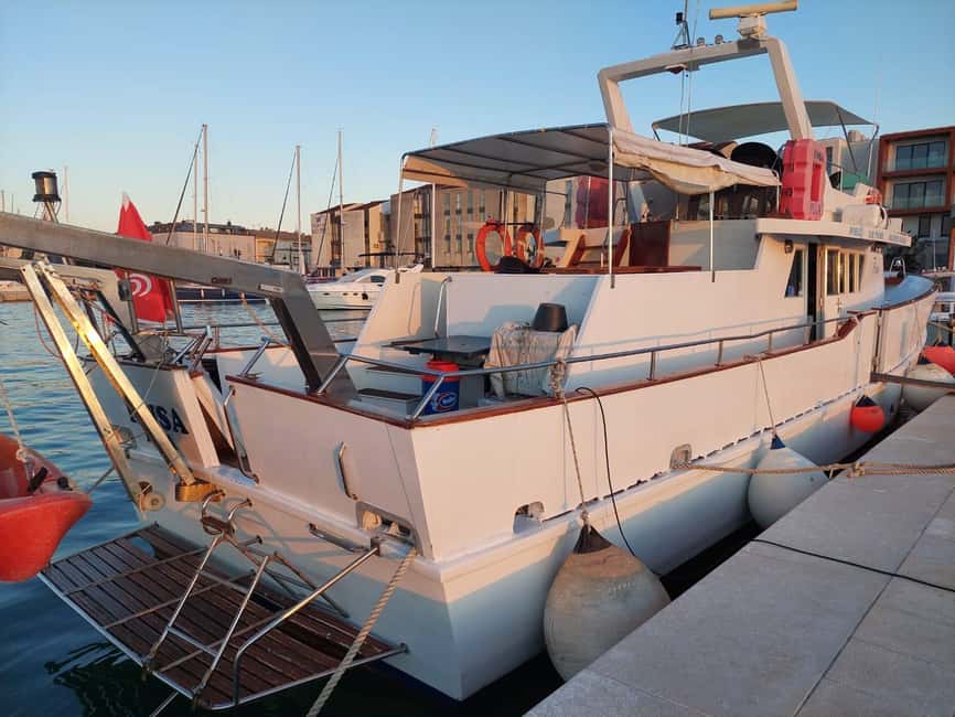 UMAG: Swimming&Panorama / Welcome Drink and Dolphin spotting - Who will enjoy this Umag boat trip
