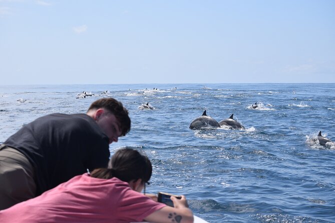 Up Close Dolphin & Whale Watching - Leaving Oceanside Harbor for the Open Water