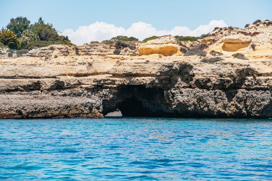 Vilamoura: Benagil Cave Boat Tour with Entry&Dolphin search - Is $49 good value?