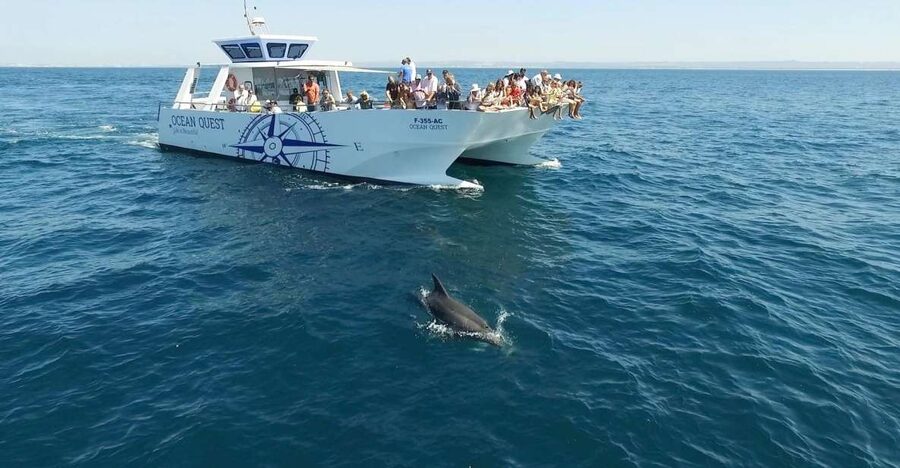 Vilamoura: Boat Tour Dolphin Quest & Marine Life Search - Key points at a glance
